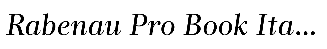 Rabenau Pro Book Italic